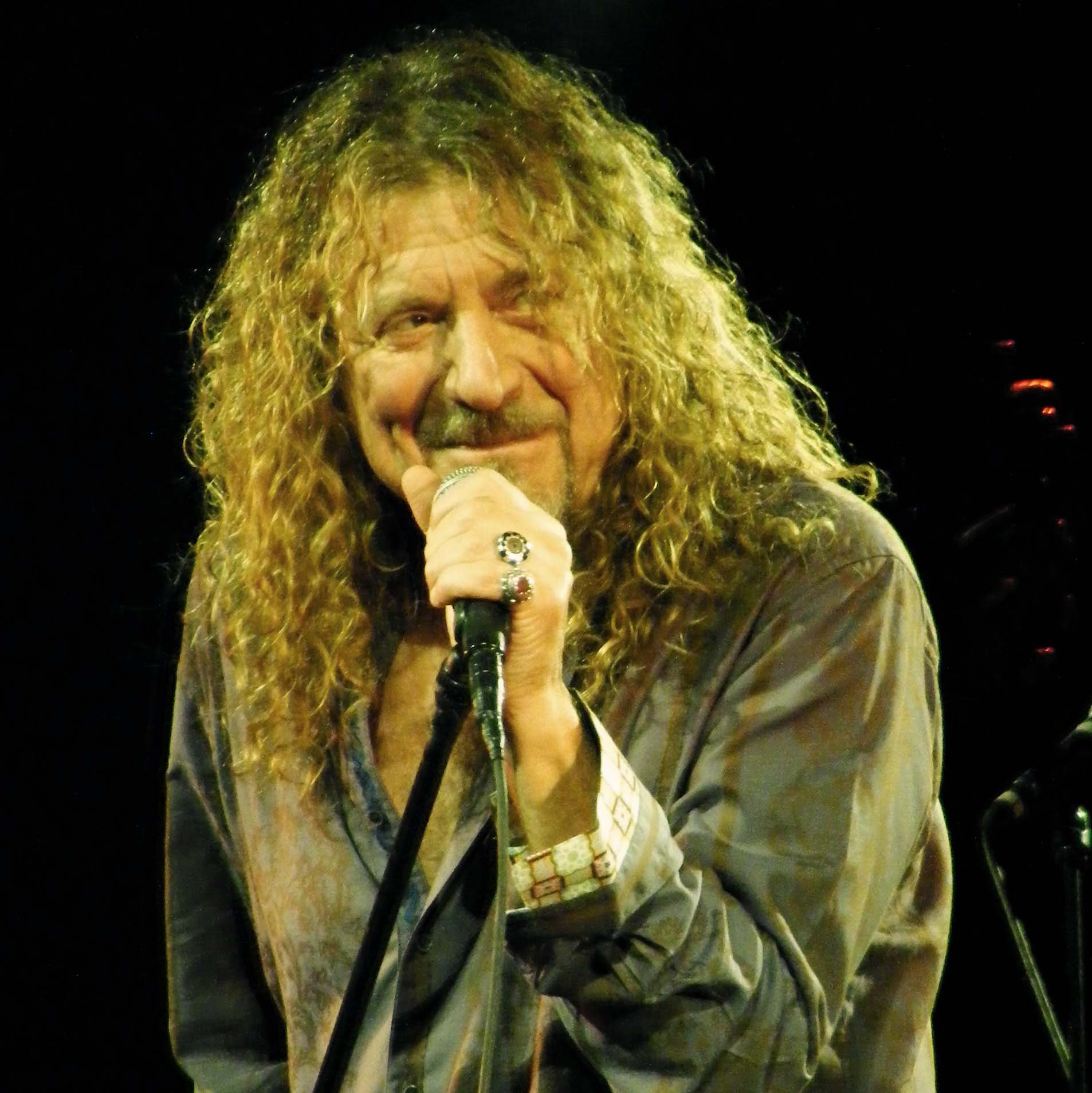 Audience at a Robert Plant concert